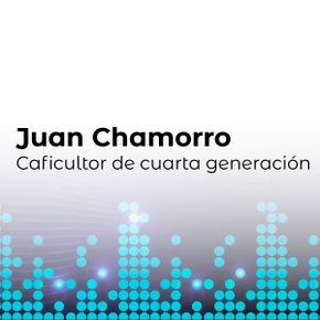 Texto gráfico con el nombre Juan Chamorro, Estaciones Belén de Umbría, y la frase Caficultor de cuarta generación sobre un motivo de puntos digitales azules y brillantes que forman barras sobre fondo gris.
