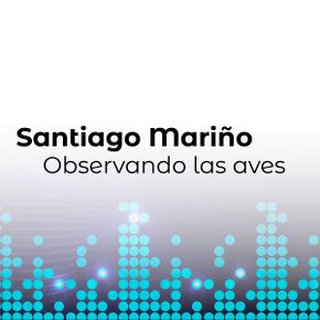 Texto que dice Santiago Mariño Observando las aves sobre un patrón de puntos azules y turquesas, inspirado en las 14 estaciones de Apía, Risaralda, dispuestos en líneas verticales sobre un fondo degradado gris y blanco.