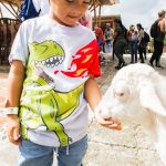 Un niño pequeño con una camiseta de dinosaurio da de comer a mano a una cabra blanca en un zoo al aire libre, con personas y recintos de animales visibles al fondo.