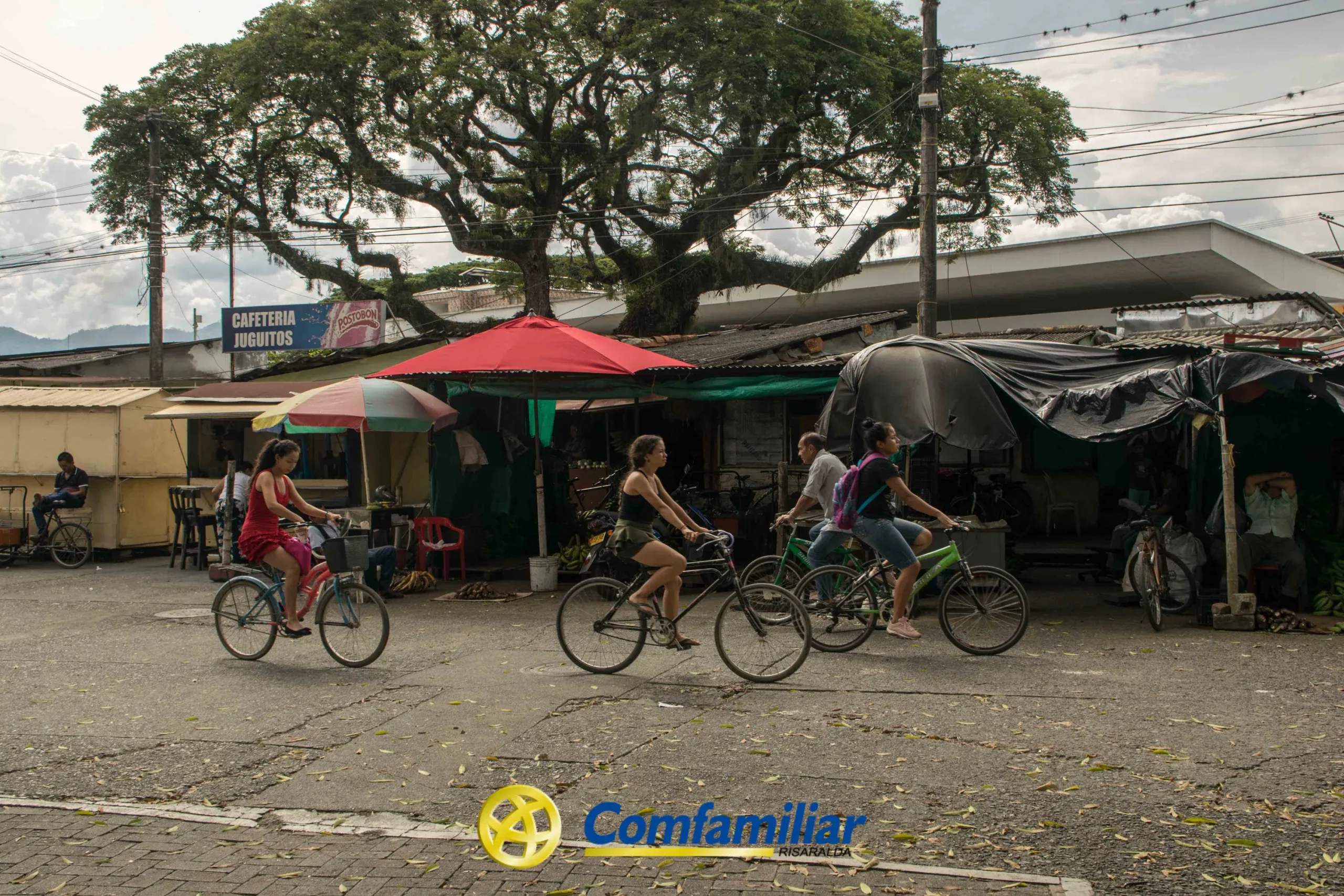 Cuatro personas pasan en bicicleta por delante de puestos de mercado con lonas y sombrillas. Un gran árbol, cables de electricidad y el logo de Comfamiliar Risaralda son visibles, junto con la señalización de la Biblioteca Pública Municipal Francisco Jaramillo Ochoa.