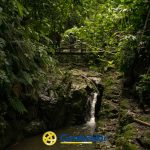 Una pequeña cascada fluye a través de un frondoso bosque verde. Tres personas se encuentran en un puente de madera sobre el arroyo, rodeado de densa vegetación cerca de la Biblioteca Pública Municipal. La luz del sol se filtra entre los árboles. Un logotipo amarillo y un texto confamiliar aparecen en la parte inferior.