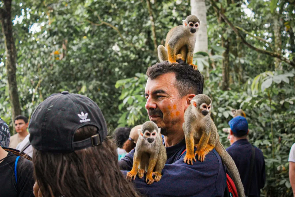 Un hombre está de pie en un bosque con la cara pintada de naranja, sonriendo mientras cuatro pequeños monos se sientan sobre su cabeza y sus hombros. Personas y árboles llenan el fondo.