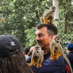 Un hombre está de pie en un bosque con la cara pintada de naranja, sonriendo mientras cuatro pequeños monos se sientan sobre su cabeza y sus hombros. Personas y árboles llenan el fondo.