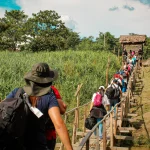 Un grupo de personas con mochilas caminan en fila india por un estrecho puente de madera sobre el agua, rodeados de hierba alta y árboles verdes, hacia una cabaña rústica bajo un cielo parcialmente nublado.