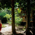 Una persona vestida con falda roja y top blanco camina hacia una casa de madera rodeada de árboles y plantas, con la luz del sol filtrándose a través del follaje en un exuberante y verde entorno exterior.