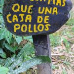Un cartel de madera pintado con letras amarillas reza CHILLA MAS QUE UNA CAJA DE POLLOS, rodeado de plantas verdes en el vibrante entorno al aire libre del Parque los Arrieros.