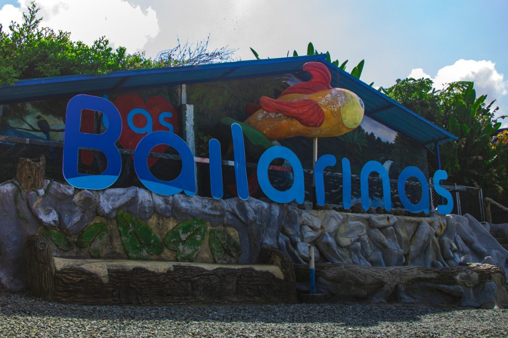 Grandes letras azules escriben "Bailarinos" con una escultura de un pez encima y vegetación de fondo, formando una colorida señal del Parque las Bailarinas.