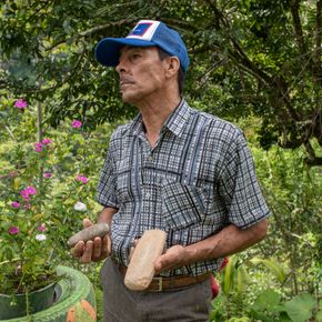 Un hombre con gorra azul y camisa de cuadros está de pie al aire libre en un jardín cerca de las estaciones Balboa, sosteniendo dos piedras en sus manos. Le rodean flores rosas y follaje verde.