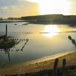 Los cactus crecen a lo largo de la orilla arenosa y en una pequeña isla en una laguna tranquila y poco profunda al atardecer, con largas sombras y luz dorada reflejándose en el agua. Al fondo se ven edificios y estructuras de madera.