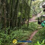 Un estrecho camino de tierra serpentea entre densos bambúes y plantas verdes en La Celia, conduciendo a rústicas estructuras de madera. Al fondo se ve a gente con chubasqueros. El logotipo de Comfamiliar aparece en la parte inferior de la imagen.