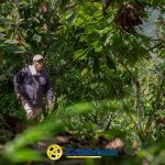 Un hombre mayor, con gorra y chaqueta, camina por un frondoso bosque verde que evoca el ambiente apacible de la Biblioteca Pública León de Greiff. Le rodea un denso follaje. El logotipo de Comfamiliar aparece en la parte inferior de la imagen.
