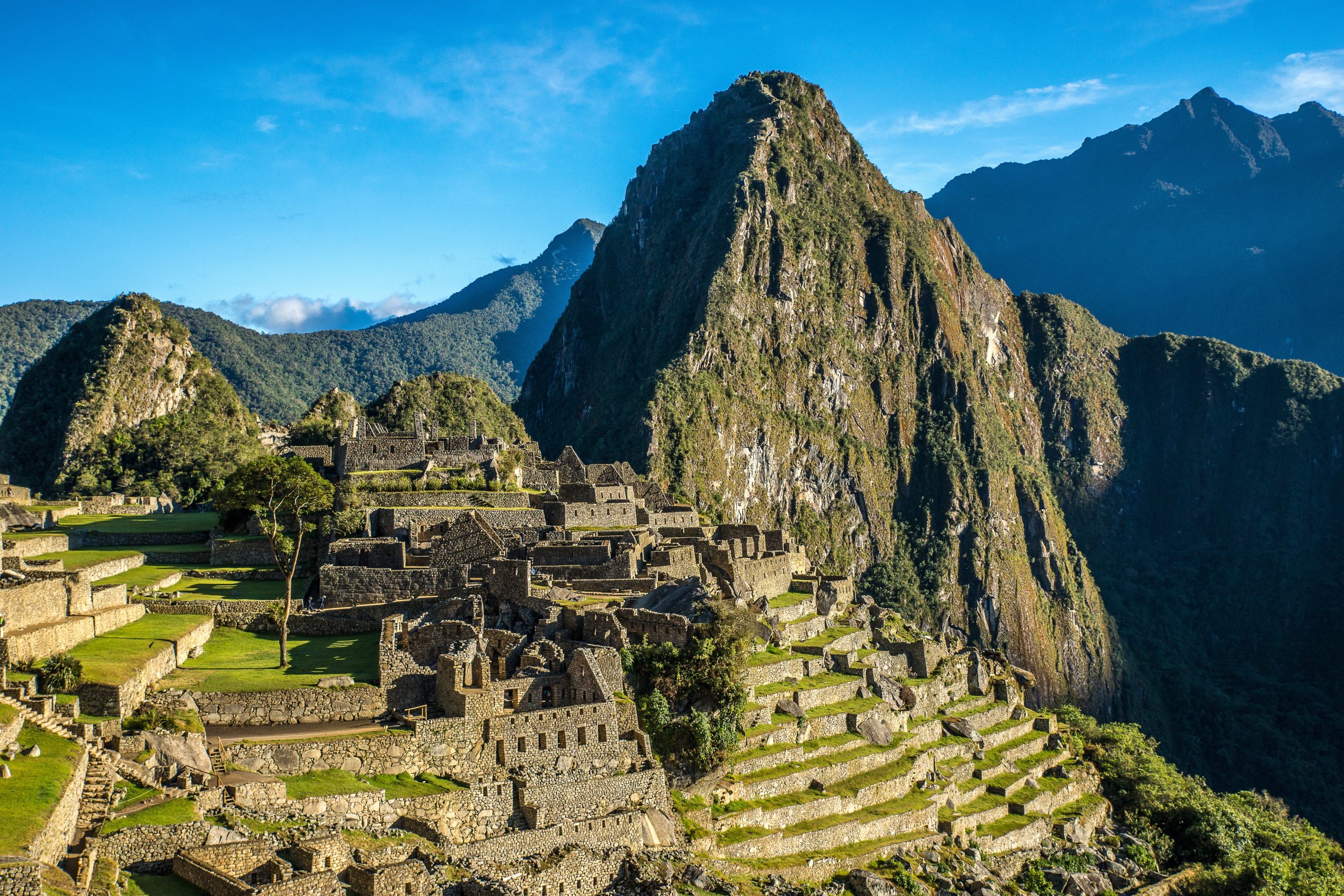 Las antiguas ruinas de piedra de Machu Picchu se asientan sobre una verde cresta montañosa, con terrazas y espectaculares picos elevándose al fondo bajo un cielo azul despejado.