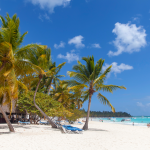 Playa tropical con altas palmeras, arena blanca, tumbonas azules y océano turquesa bajo un cielo azul brillante con nubes dispersas. La gente se relaja y nada a lo lejos.