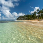 El agua turquesa clara llega suavemente a una playa tropical de arena bordeada de altas palmeras bajo un cielo azul parcialmente nublado. La escena es tranquila, luminosa y acogedora.