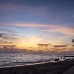 Una playa serena al atardecer con palmeras, suaves olas y un cielo colorido. Personas en silueta y un perro pasean por la orilla, mientras suaves nubes son iluminadas por el sol poniente.