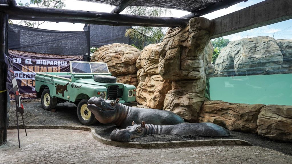Un jeep verde descapotable se sienta junto a dos grandes estatuas de hipopótamos de gran realismo en el Bio-parque Ukumarí, rodeado de formaciones rocosas artificiales y una cubierta aérea de malla. Al fondo cuelga una pancarta en español.