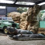 Un jeep verde descapotable se sienta junto a dos grandes estatuas de hipopótamos de gran realismo en el Bio-parque Ukumarí, rodeado de formaciones rocosas artificiales y una cubierta aérea de malla. Al fondo cuelga una pancarta en español.