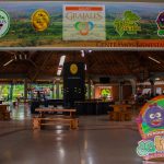 La entrada al Parque de la Uva cuenta con bancos de madera, mesas y una columna central. Sobre la entrada cuelgan pancartas con logotipos de uvas y el nombre del parque, mientras la gente disfruta del animado ambiente del fondo.