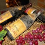 Tres polvorientas botellas de vino añejo reposan sobre un lecho de paja rodeadas de racimos de uvas tintas, evocando el encanto rústico del Parque de la uva, con parte de un muro de ladrillo visible al fondo.