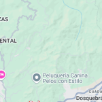 Una sección del mapa que muestra un marcador para Peluquería Canina Pelos con Estilo en un verde claro, zona montañosa cerca de Dosquebradas, con algunas carreteras y nombres de lugares visibles, incluyendo la cercana Biblioteca Pública Hugo Ángel Jaramillo.