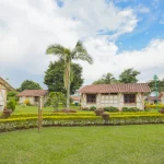Las coloridas casas con tejados de tejas rojas y paredes blancas se alzan en un cuidado jardín de Cabañas Caracolillo, rodeadas de hierba verde, setos recortados, palmeras y un cielo azul con nubes dispersas.