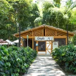 Una cafetería de madera con un cartel en el que se lee Corsica Café se alza rodeada de exuberantes plantas verdes y altos árboles, junto a un acogedor salón de billar. El camino sombreado conduce a un ambiente tranquilo y tropical perfecto para relajarse o disfrutar de una partida de billar.