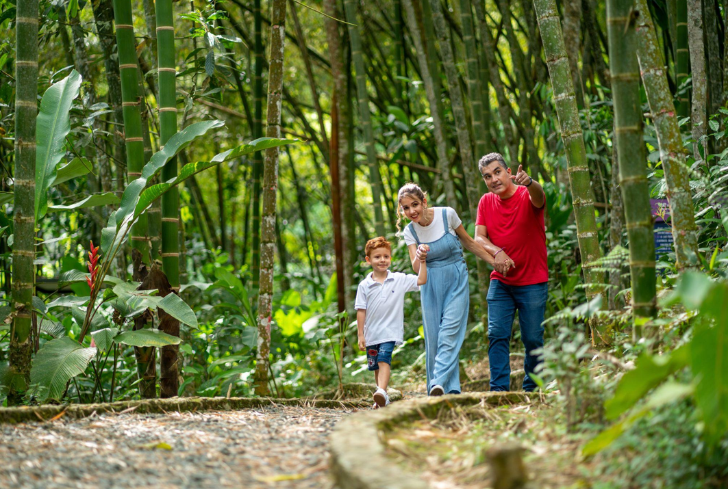 Una familia de tres miembros, entre ellos un niño y dos adultos, sonríe mientras camina por el Sendero de la Guadua a través de un frondoso bosque de bambú, rodeado de verde follaje, donde leyendas y mitos cobran vida entre el susurro de los árboles.