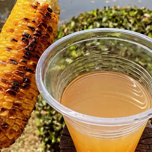 Primer plano de una mazorca de maíz asada junto a un vaso de plástico transparente lleno de una bebida de color amarillo claro, con vegetación y agua difuminadas en el fondo.