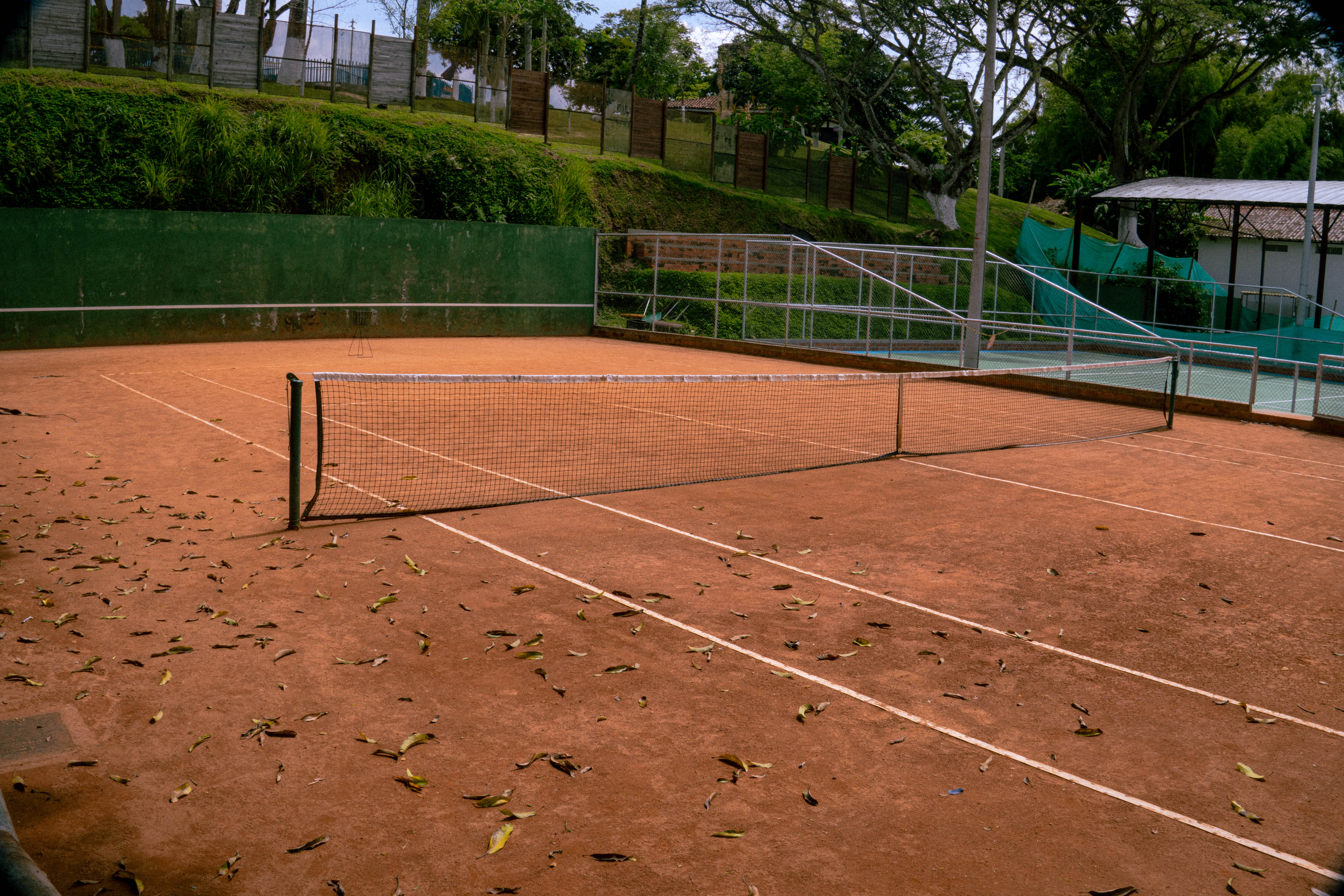 tenis arcilla 2