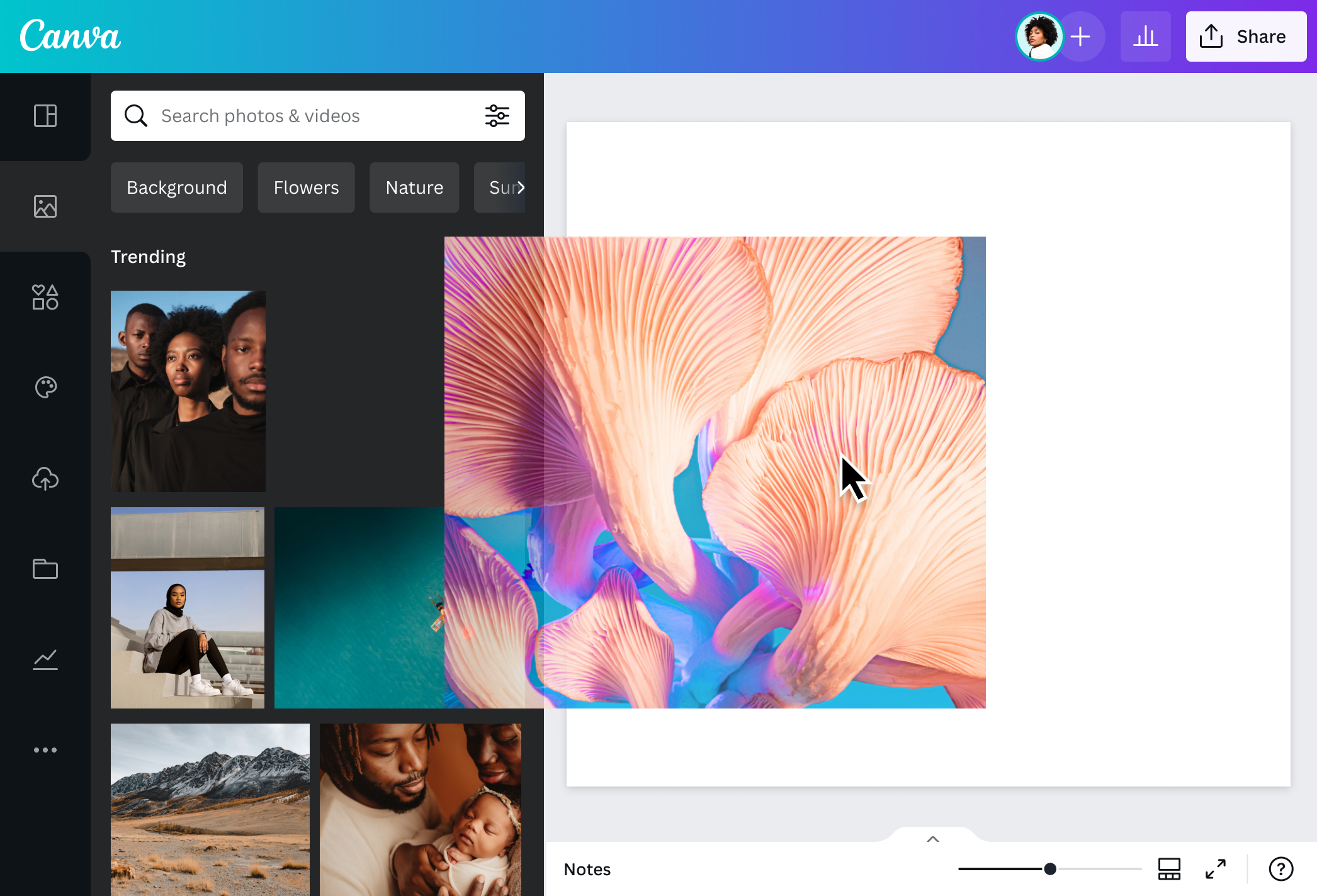 canva