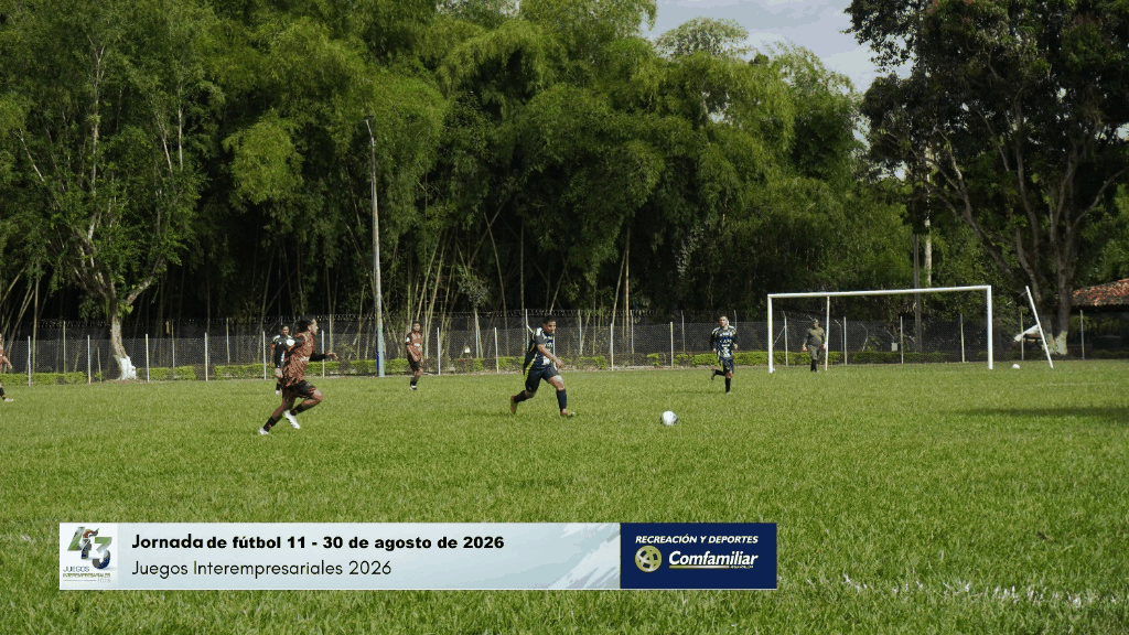 imagen_comprimida_menos_500KB