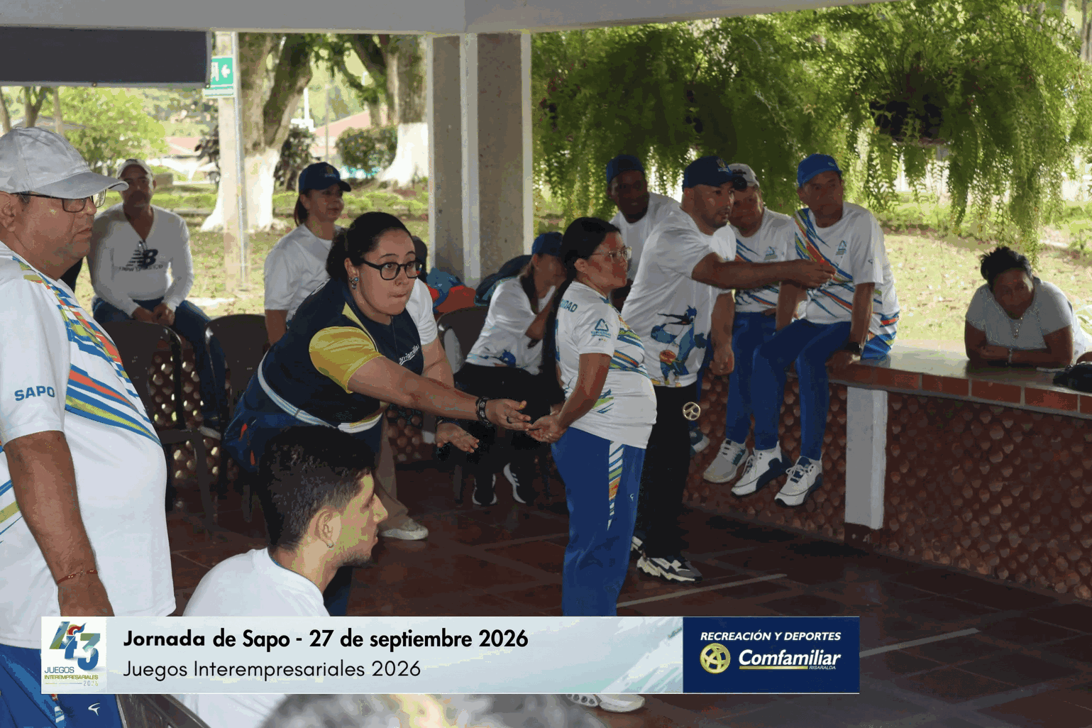 jornada_sapo_500kb
