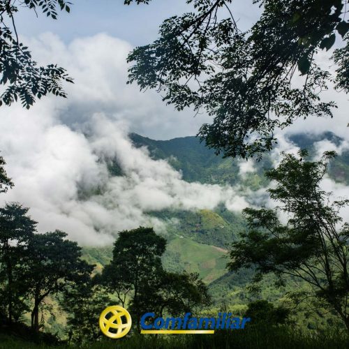 Exuberantes montañas verdes parcialmente cubiertas por la niebla y las nubes, enmarcadas por árboles en primer plano. El logotipo de Confamiliar aparece en la parte inferior central de la imagen, evocando una escena cercana a la Biblioteca Pública.
