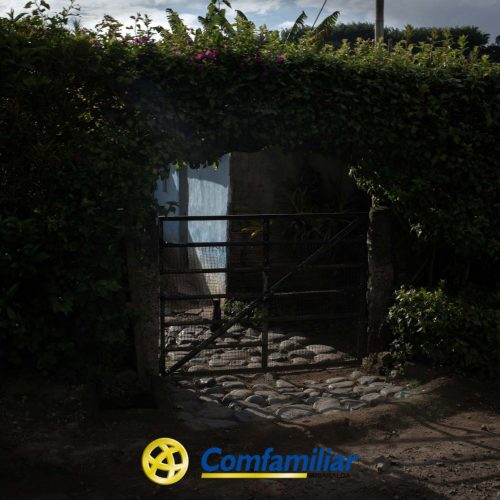 Una verja metálica situada en el arco de un seto conduce a un camino adoquinado iluminado por el sol, que evoca la tranquilidad de una Biblioteca Pública. La escena está en su mayor parte en sombra, la luz del sol resalta la vegetación. El logotipo de Comfamiliar aparece en la parte inferior.