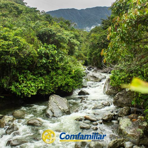 Un río caudaloso con rocas atraviesa un frondoso y verde bosque en el Corregimiento de Santa Cecilia, con montañas al fondo. El logotipo de Comfamiliar aparece en la parte inferior central de la imagen.