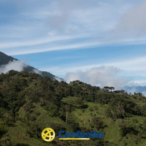 Un exuberante paisaje montañoso verde bajo un cielo azul parcialmente nublado, con el logotipo de Comfamiliar Mistrató en la parte inferior central de la imagen, evocando la serena belleza de Mistrató y su vibrante Biblioteca Pública.